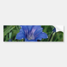Fleurs bleues de gentiane adhésif pour voiture