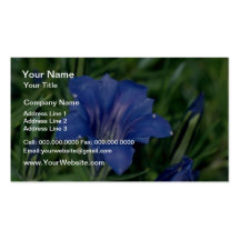 Fleurs bleues de gentiane cartes de visite professionnelles