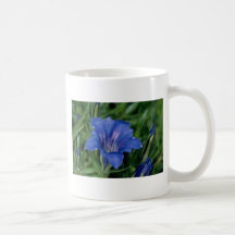 Fleurs bleues de gentiane mug à café