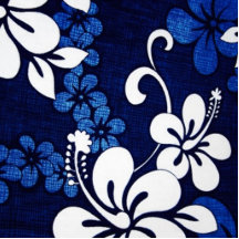 Fleurs bleues d'Hawaï Photo En Découpe
