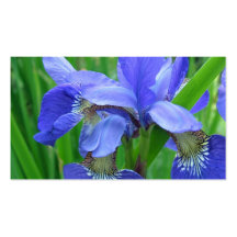 fleurs bleues d'iris modèle de carte de visite