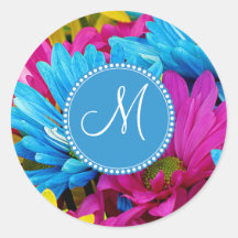 Fleurs bleues turquoises de marguerites de Gerber  Adhésifs Ronds