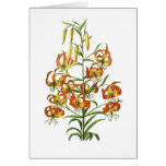 Fleurs Carte
