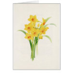 Fleurs Cartes De Vœux