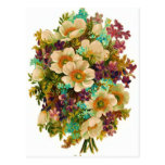 Fleurs Cartes Postales