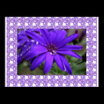 Fleurs chics élégantes de destin d'été de jardin posters
