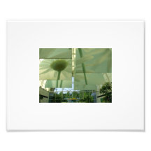 Fleurs ci-dessus photo sur toile
