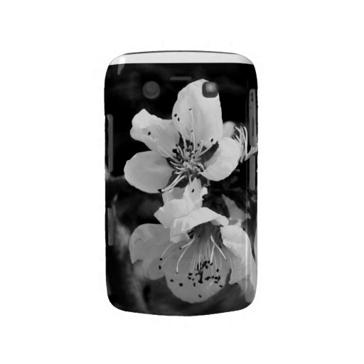 fleurs coque blackberry
