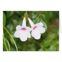 Fleurs d'amants cartes de vœux
