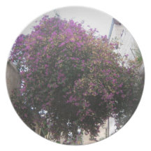 Fleurs dans Yemin Moshe Assiettes