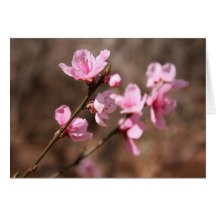 Fleurs d'azalée carte de vœux