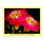 Fleurs de Bell hawaïennes roses Carte Postale