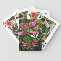 Fleurs de Butterfy