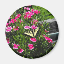 Fleurs de Butterfy Aimant