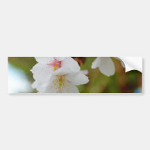 Fleurs de cerisier adhésif pour voiture