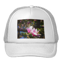 Fleurs de cerisier au soleil casquette de camionneur