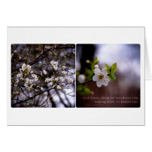 Fleurs de cerisier • Carte de voeux