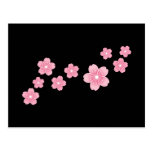 Fleurs de cerisier cartes postales