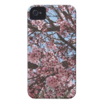 Fleurs de cerisier coque Case-Mate iPhone 4