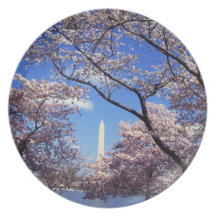 Fleurs de cerisier dans DC de Washington Assiette Pour Soirée