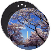 Fleurs de cerisier dans DC de Washington Badges Avec Agrafe