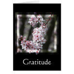 Fleurs de cerisier de gratitude florales carte de vœux