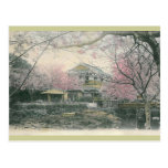 Fleurs de cerisier de Nakashima, Nagasaki Japon Cartes Postales