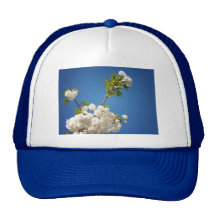 Fleurs de cerisier de Shirotae le mont Fuji atteig Casquettes