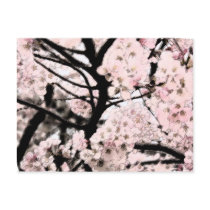 Fleurs de cerisier éditées cartes postales