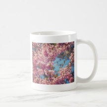 Fleurs de cerisier en pleine floraison mugs à café