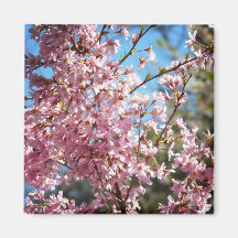 Fleurs de cerisier ensemble sur des branches aimant pour réfrigérateur
