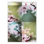 Fleurs de cerisier florales carte de vœux