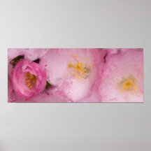 FLEURS DE CERISIER--ILLUSTRATIONS ORIGINALES AFFICHE