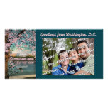 Fleurs de cerisier Photocard Photocartes Personnalisées