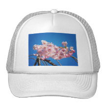 Fleurs de cerisier rose-clair sur une branche casquette de camionneur