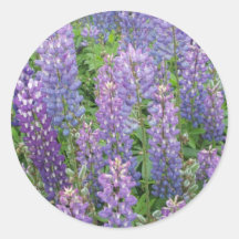 FLEURS DE FLEUR AUTOCOLLANTS RONDS