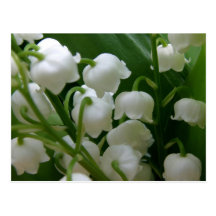 FLEURS DE FLEUR CARTE POSTALE