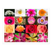 Fleurs, de fleurs carte postale partout