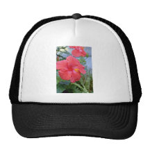 Fleurs de ketmie casquette