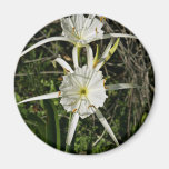 Fleurs de lis d'araignée aimants pour réfrigérateur