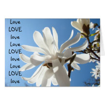 Fleurs de magnolia de cartes de voeux d'amour d'AM