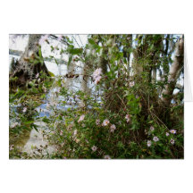 Fleurs de marais carte de vœux