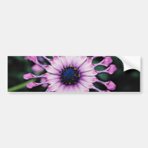 Fleurs de marguerite autocollant pour voiture