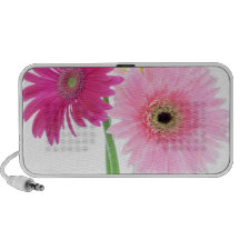 Fleurs de marguerite de Gerbera Haut-parleur Mobile