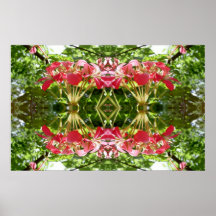 Fleurs de miroir posters