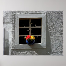 Fleurs de mur d'éclaboussure de couleur de B&W Affiche