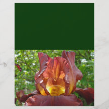 Fleurs de papier d'iris de concepteur d'insectes f tract personnalisé