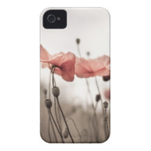 Fleurs de pavot coques iPhone 4 Case-Mate