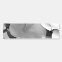 Fleurs de Plumeria en noir et blanc Autocollants Pour Voiture