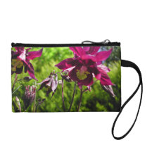 Fleurs de pourpre de prune. Aquilegia. Portefeuille